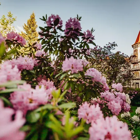 Buczynski Medical & Hotel Świeradów-Zdrój